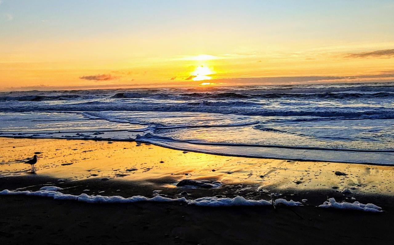 Beachfront Manor Hotel Lincoln City Zewnętrze zdjęcie